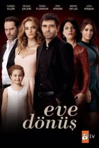 Возвращение домой - постер